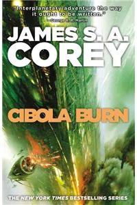 Cibola Burn