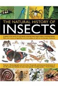 Natural History of Insects