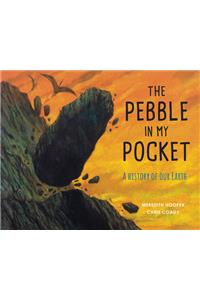 Pebble in My Pocket