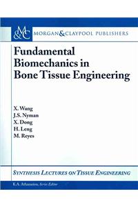 Fundamental Biomechanics in Bone Tissue Engineering