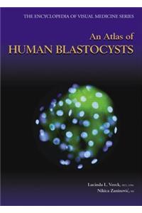 An Atlas of Human Blastocysts