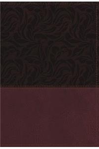 NKJV Study Bible, Imitation Leather, Red, Full-Color, Red Letter Edition, Indexed, Comfort Print