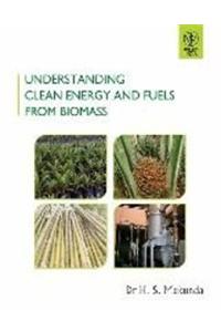 Understanding Clean Energy And Fuels From Biomass