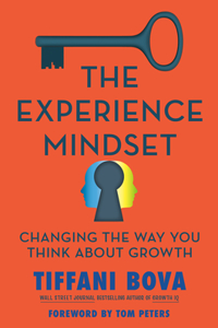 Experience Mindset