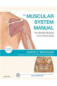 Muscular System Manual