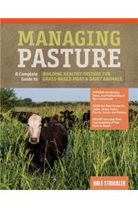 Managing Pasture