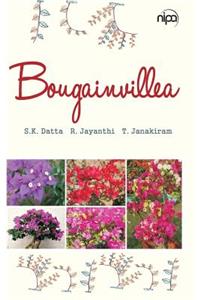 Bougainvillea