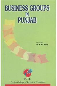 Business Groups in Punjab