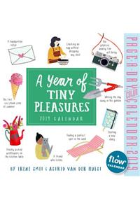 2019 a Year of Tiny Pleasures Colour Page-A-Day Calendar