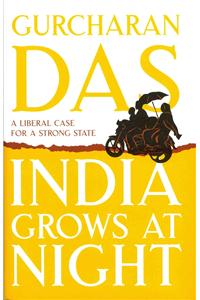 India Grows At Night