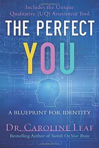 The Perfect You - A Blueprint for Identity