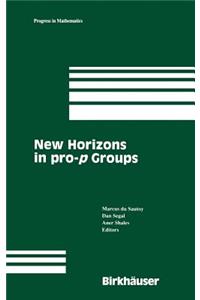 New Horizons in Pro-P Groups