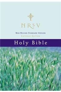 NRSV, Catholic Edition Bible, Paperback, Hillside Scenic