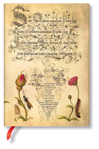 Flemish Rose (Mira Botanica) Midi Unlined Hardcover Journal