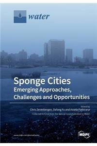 Sponge Cities