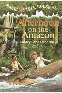 Afternoon on the Amazon