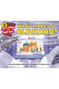 What Makes a Blizzard?