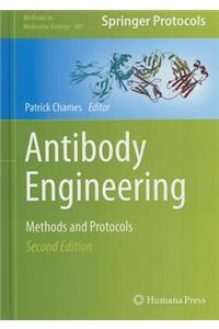 Antibody Engineering