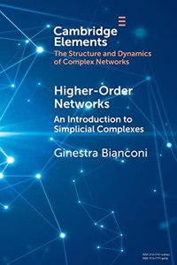 Higher-Order Networks