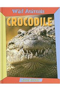 Crocodile