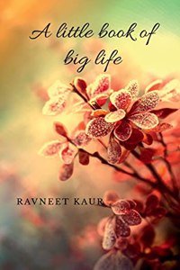 little book of big life