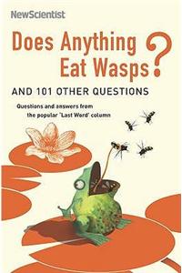 Does Anything Eat Wasps?