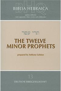 The Twelve Minor Prophets: The Twelve Minor Prophets