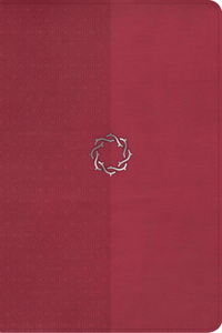 NKJV Essential Teen Study Bible