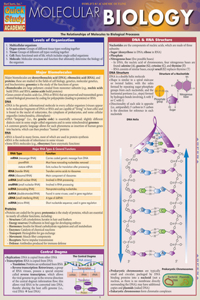 Molecular Biology