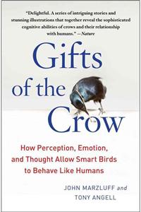 Gifts of the Crow