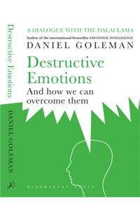 Destructive Emotions