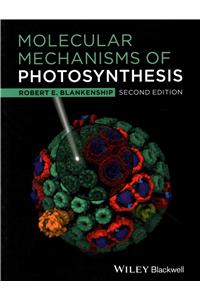 Molecular Mechanisms Photosynt