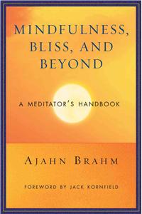 Mindfulness Bliss and Beyond