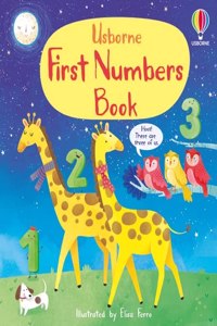 First Numbers Book