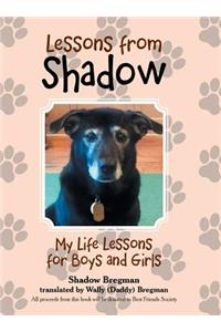 Lessons from Shadow