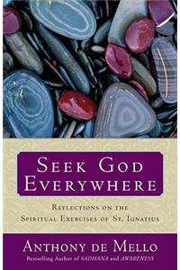 Seek God Everywhere: Reflections on the Spiritual Exercises of St. Ignatius