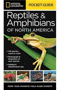 National Geographic Pocket Guide to Reptiles and Amphibians of North America