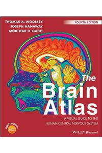 Brain Atlas