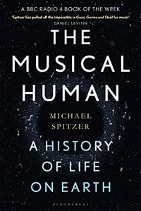 The Musical Human