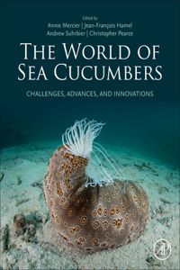 World of Sea Cucumbers: Challenges, Advances, and Innovations