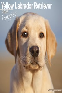 Yellow Labrador Retriever Puppies 2023 Wall Calendar