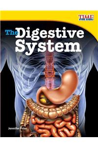 Digestive System