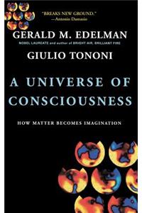 Universe of Consciousness