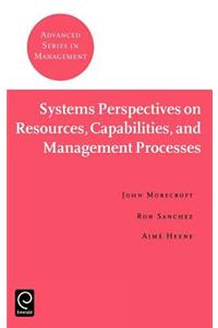 Systems Perspectives on Resources, Capabilities, and Management Processes