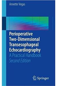 Perioperative Two-Dimensional Transesophageal Echocardiography