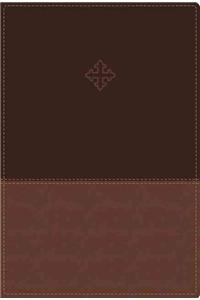 The Amplified Study Bible, Leathersoft, Brown
