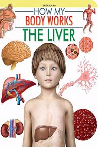 The Liver (How My Body Works)