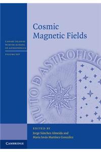 Cosmic Magnetic Fields