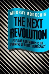 Next Revolution: Popular Assemblies and the Promise of Direct Democracy