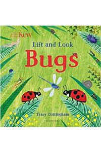Kew: Lift and Look Bugs